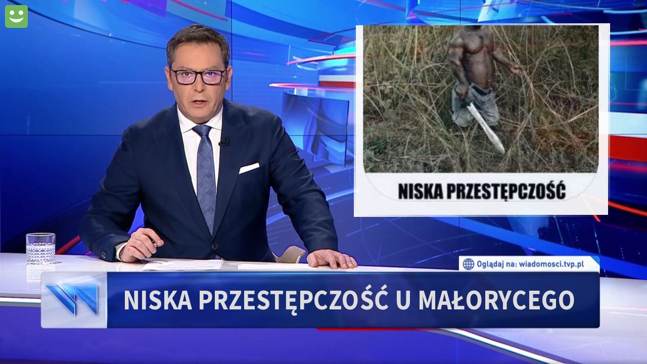 Niska przestępczość u Małorycego