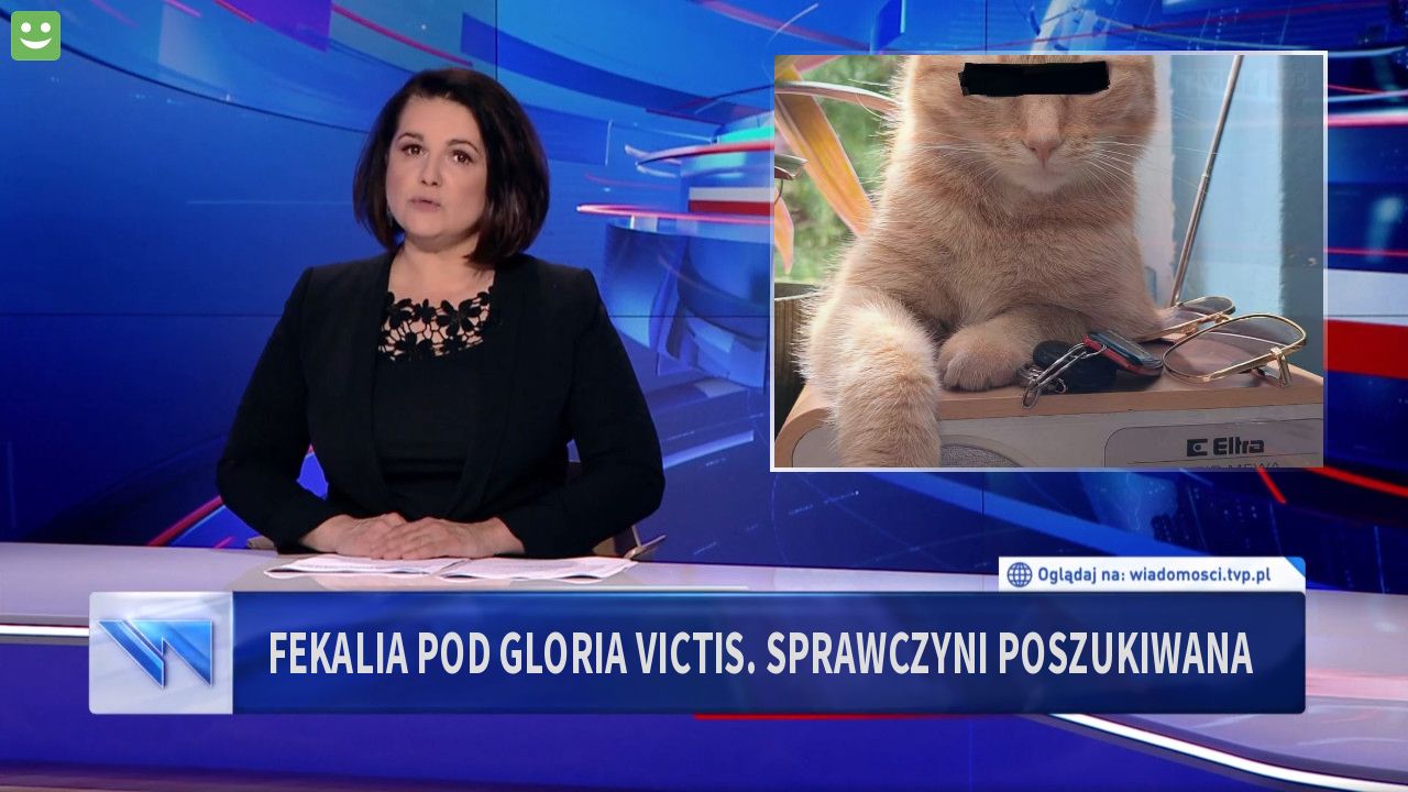 fekalia pod gloria victis. SPrawczyni poszukiwana 