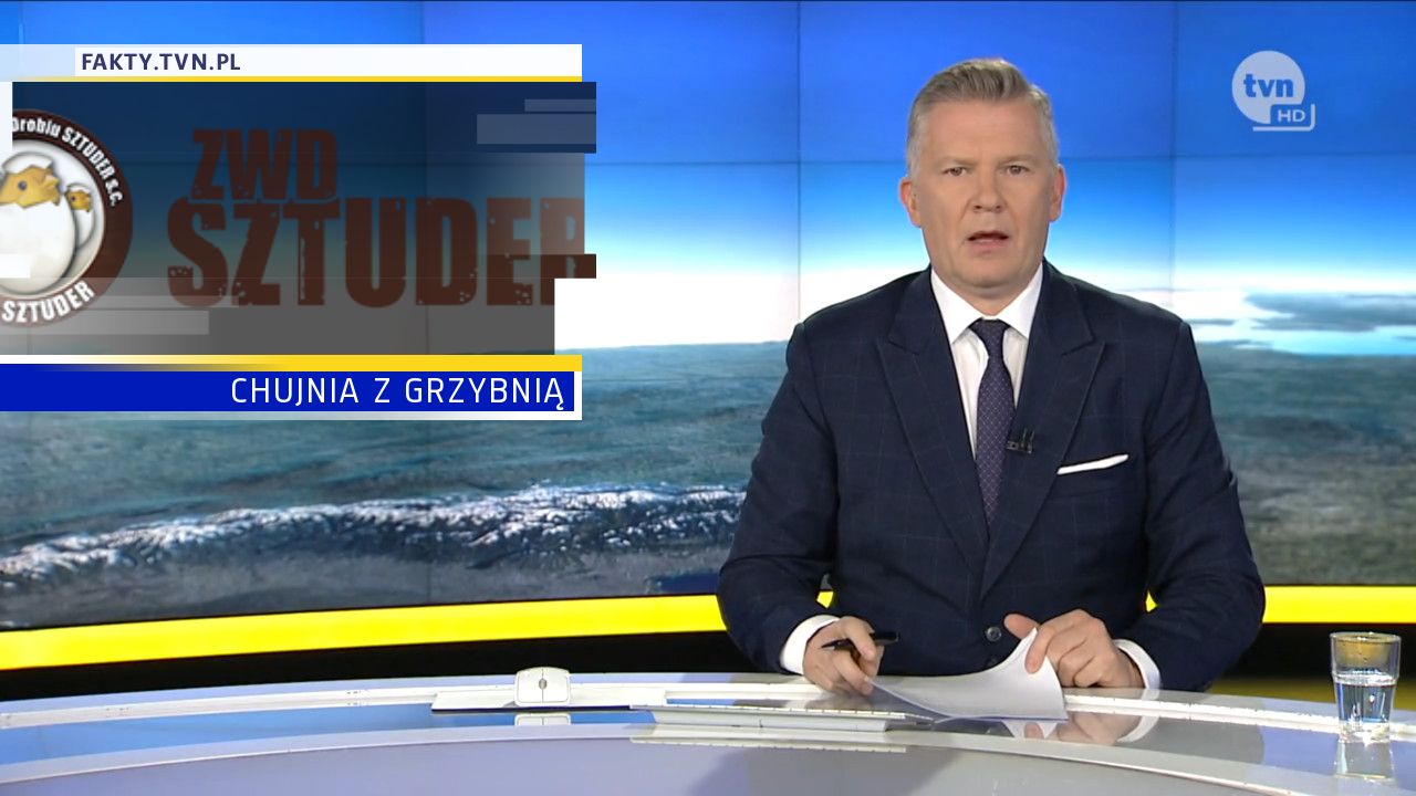 CHUJNIA Z GRZYBNIĄ