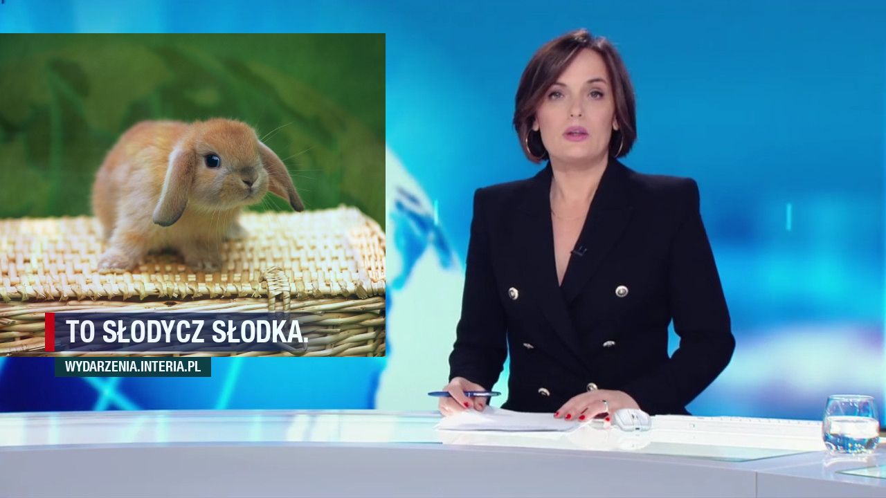 To Słodycz słodka.