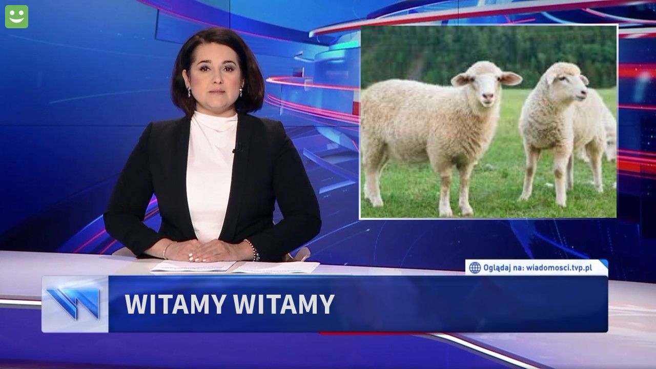 witamy witamy