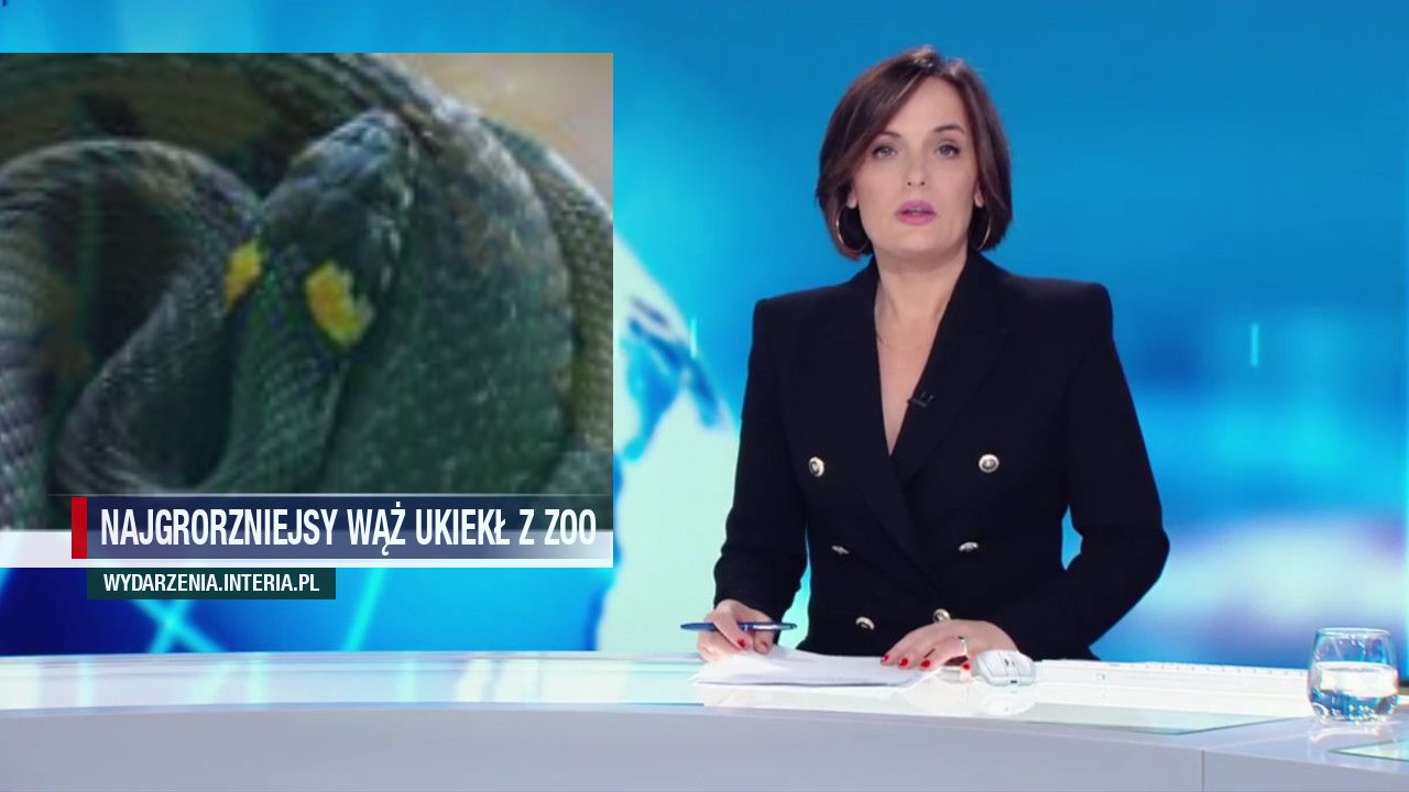 najgrorzniejsy wąż ukiekł z zoo