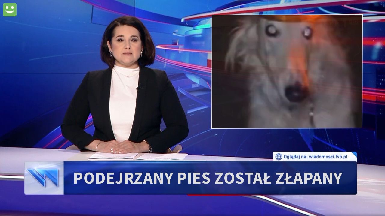 Podejrzany pies został złapany