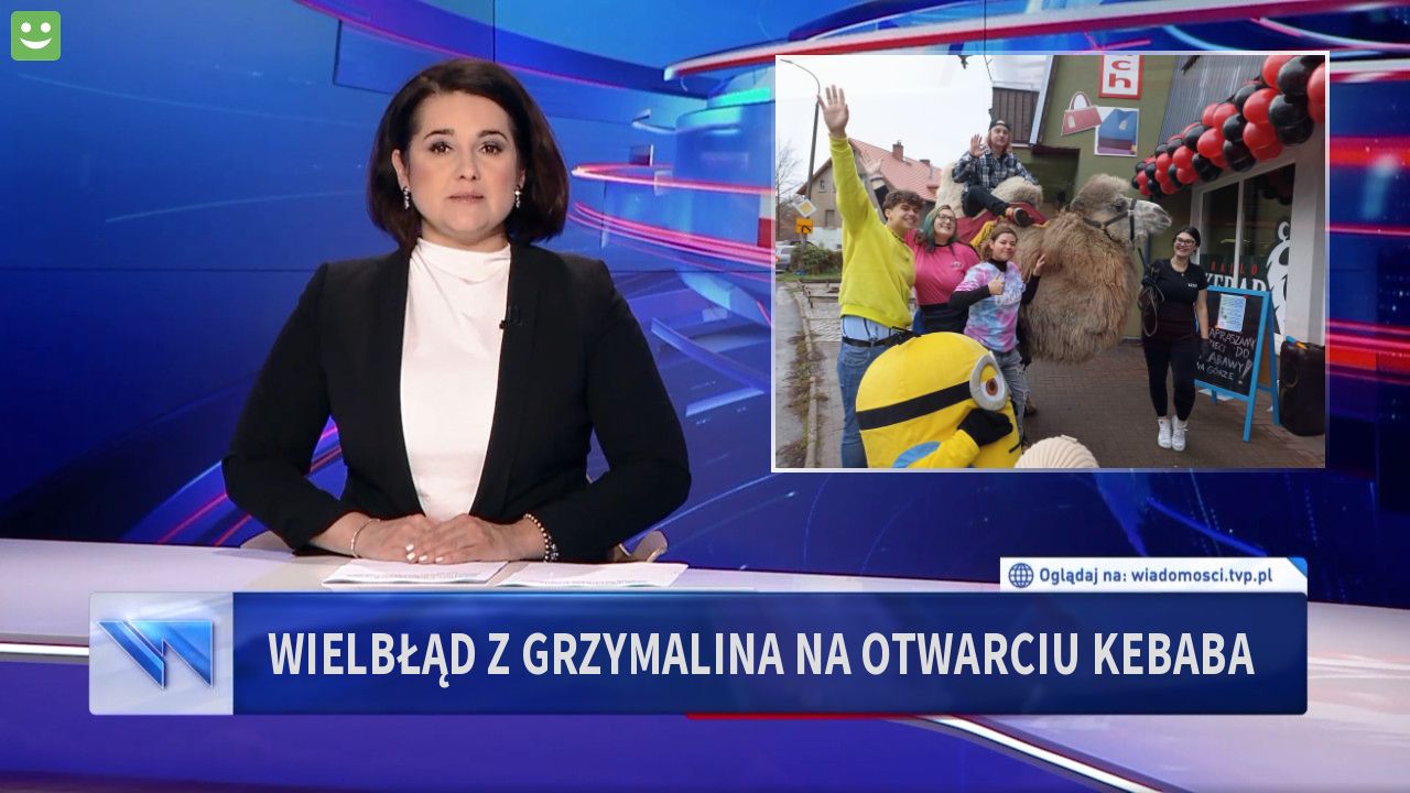 Wielbłąd z Grzymalina na otwarciu Kebaba