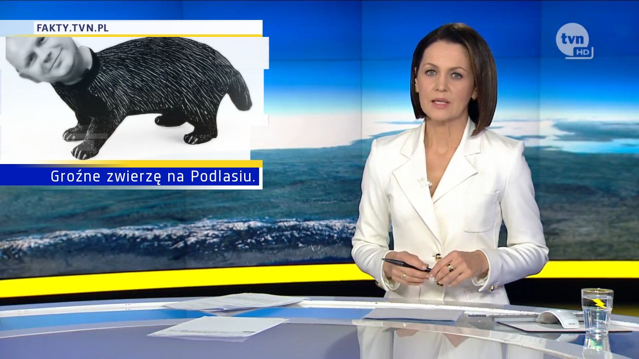 Groźne zwierzę na Podlasiu.