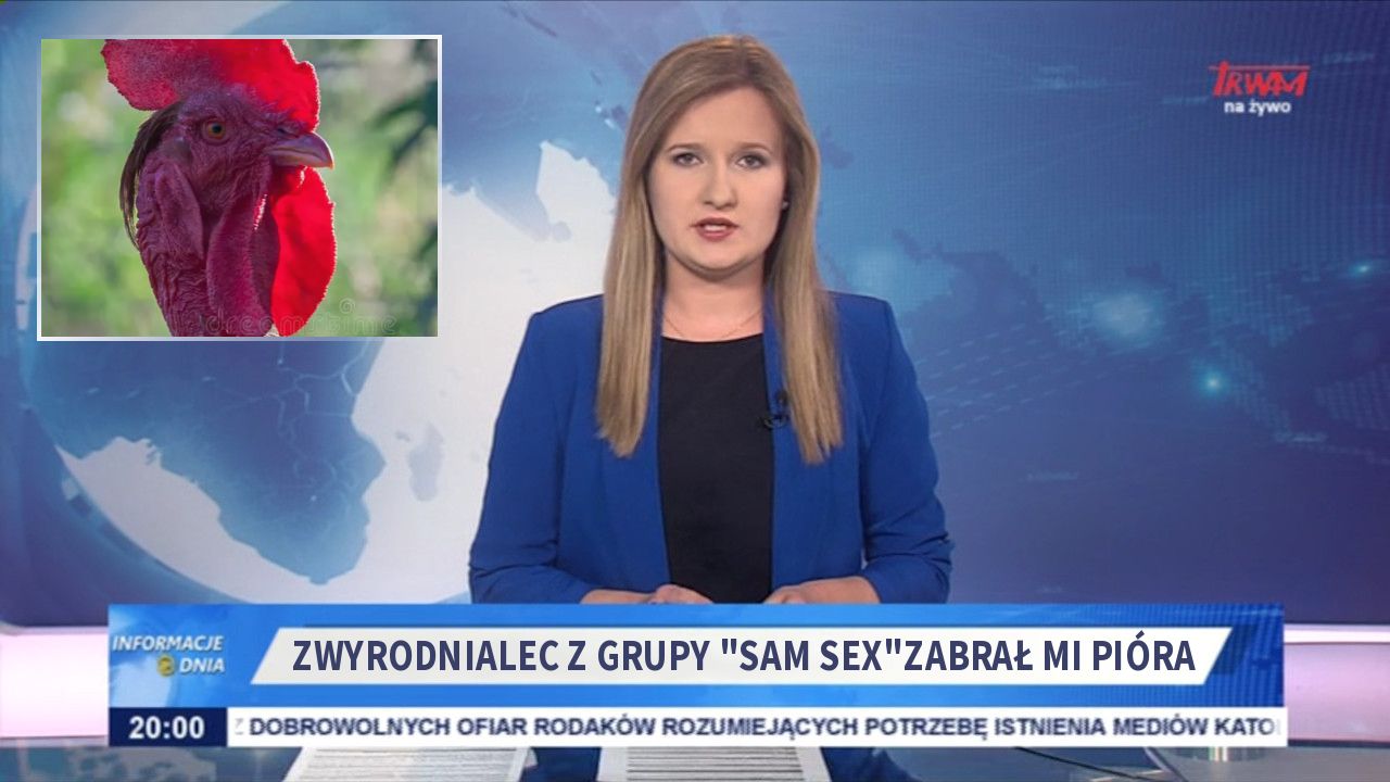 Zwyrodnialec z grupy "sam sex"zabrał mi pióra