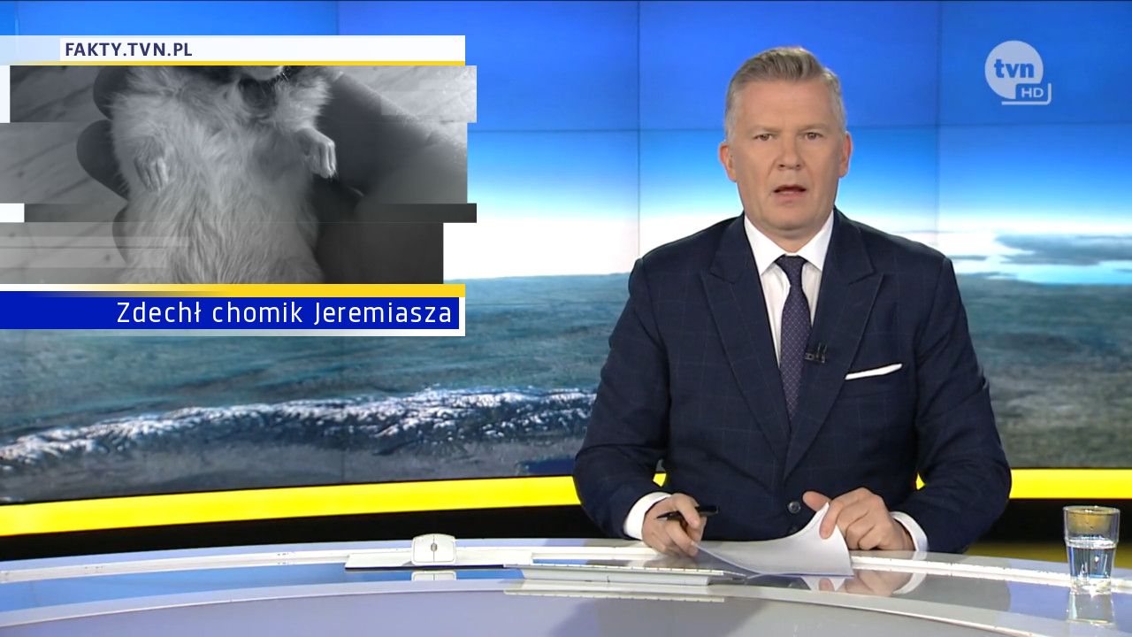 Zdechł chomik Jeremiasza