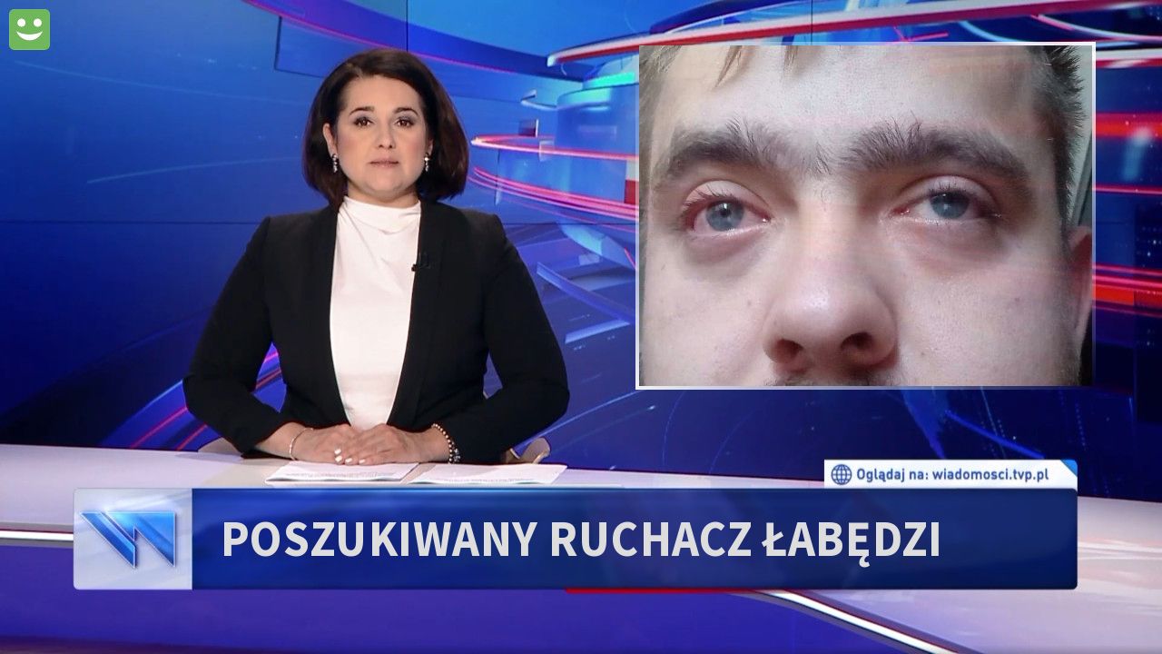 Poszukiwany Ruchacz Łabędzi 