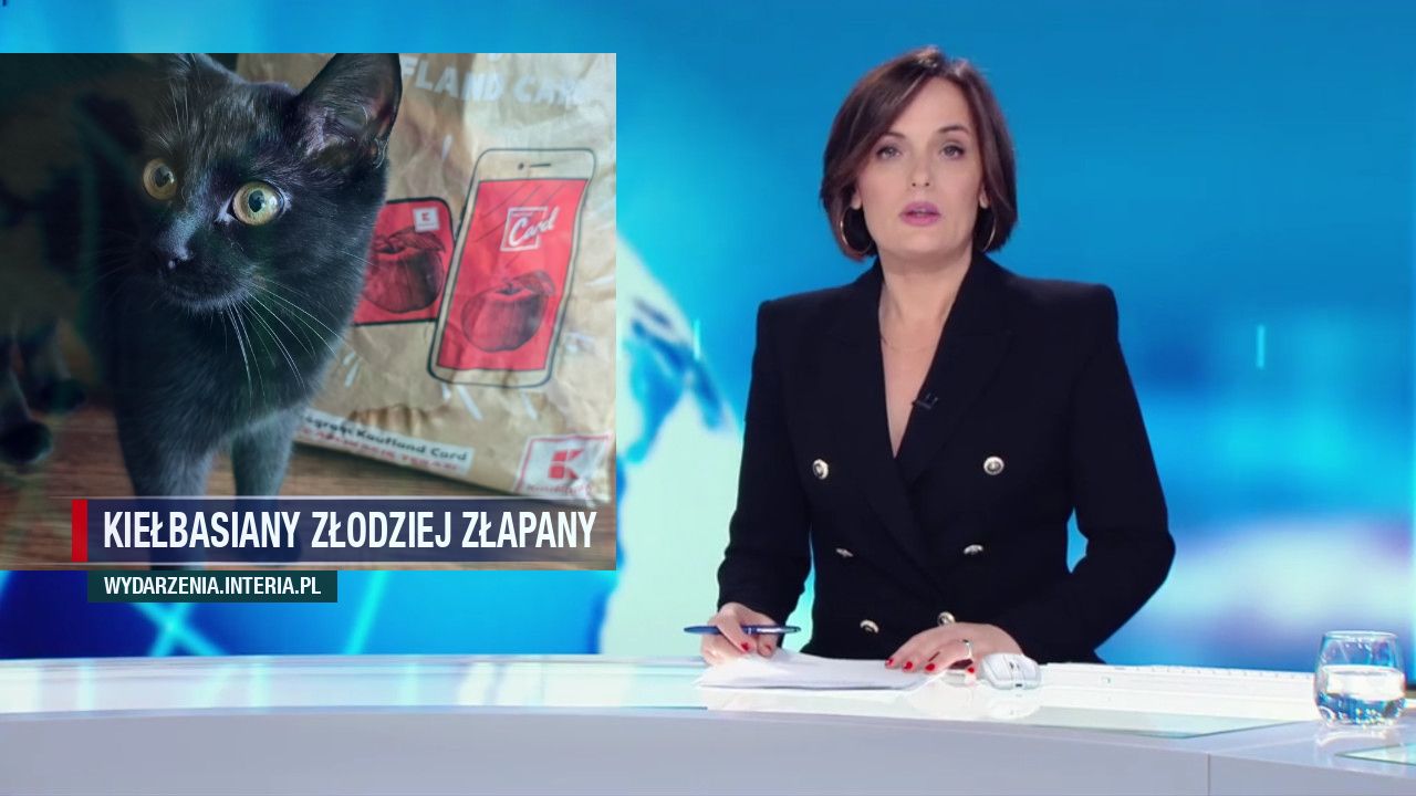 Kiełbasiany złodziej złapany