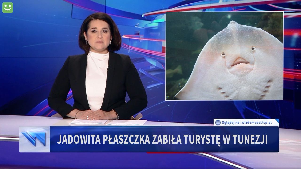 Jadowita płaszczka zabiła turystę w Tunezji