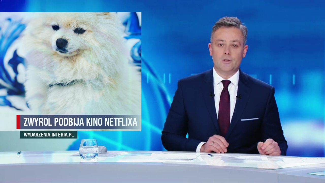 Zwyrol podbija kino netflixa