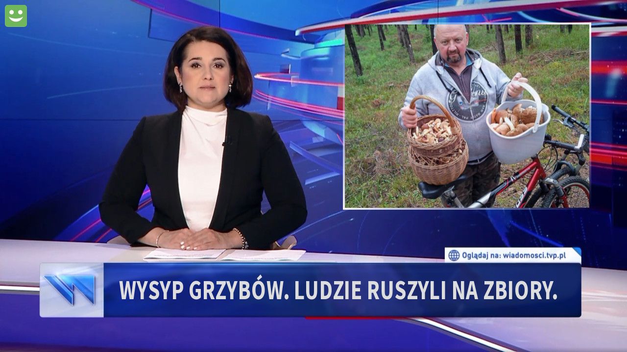 Wysyp grzybów. Ludzie ruszyli na zbiory. 