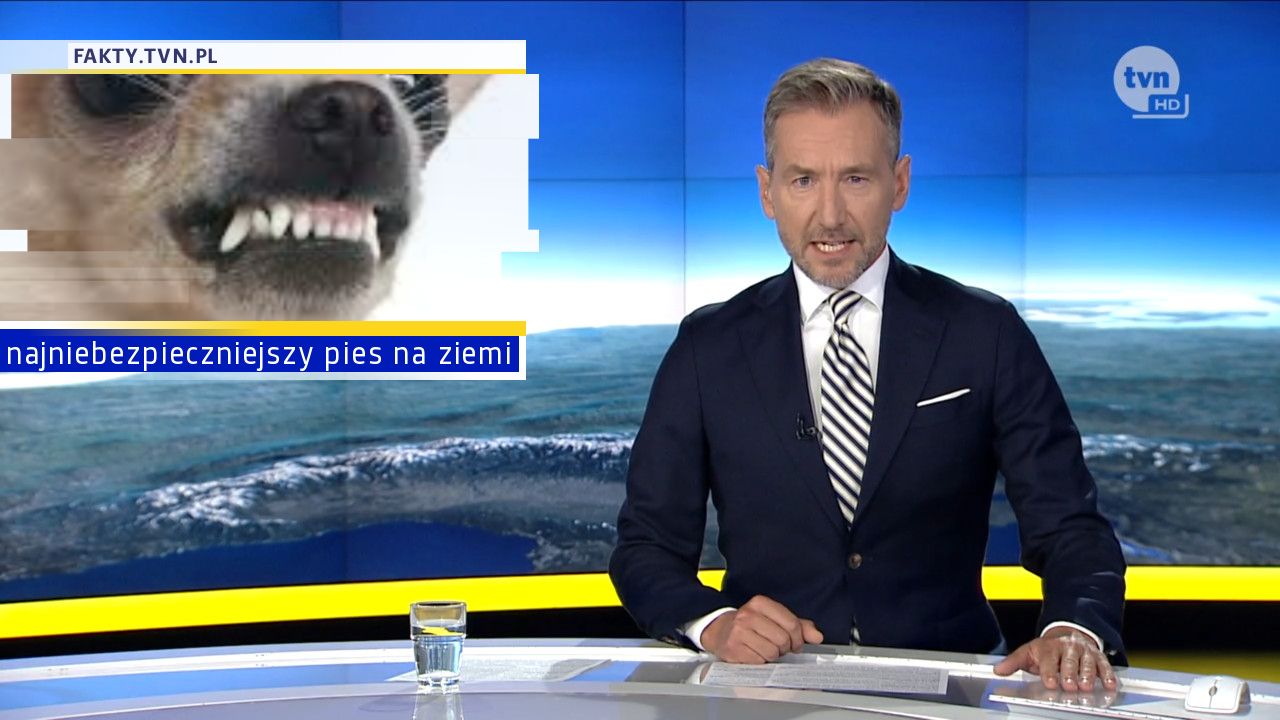 najniebezpieczniejszy pies na ziemi 