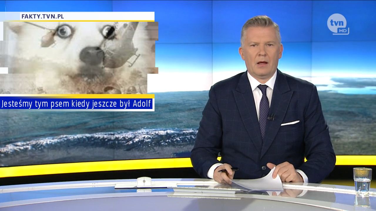 Jesteśmy tym psem kiedy jeszcze był Adolf