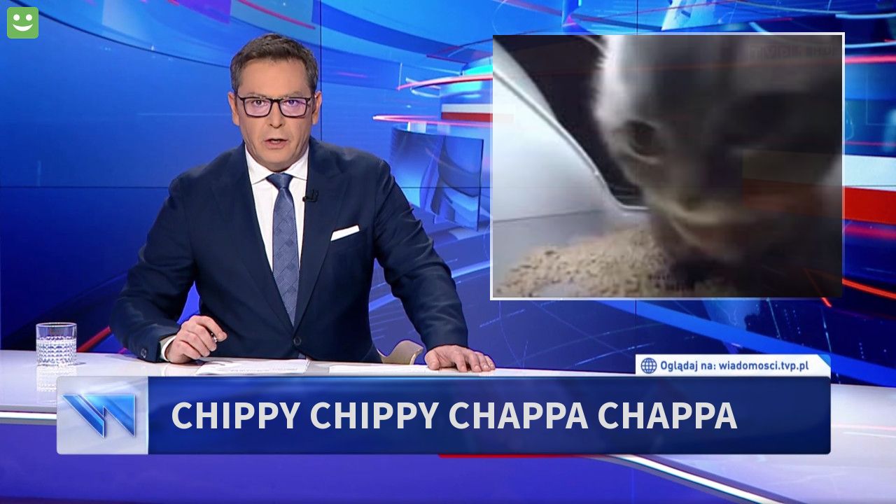 chippy chippy chappa chappa