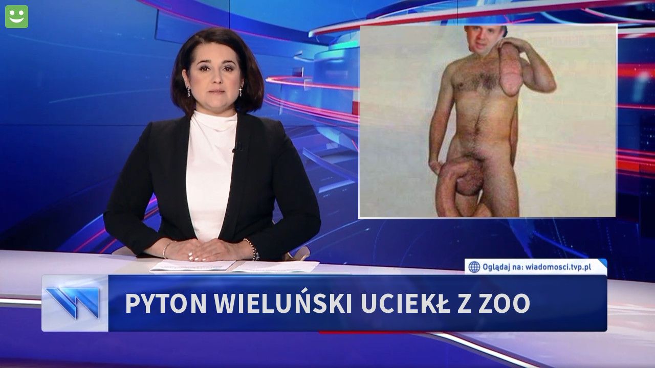 Pyton Wieluński uciekł z zoo