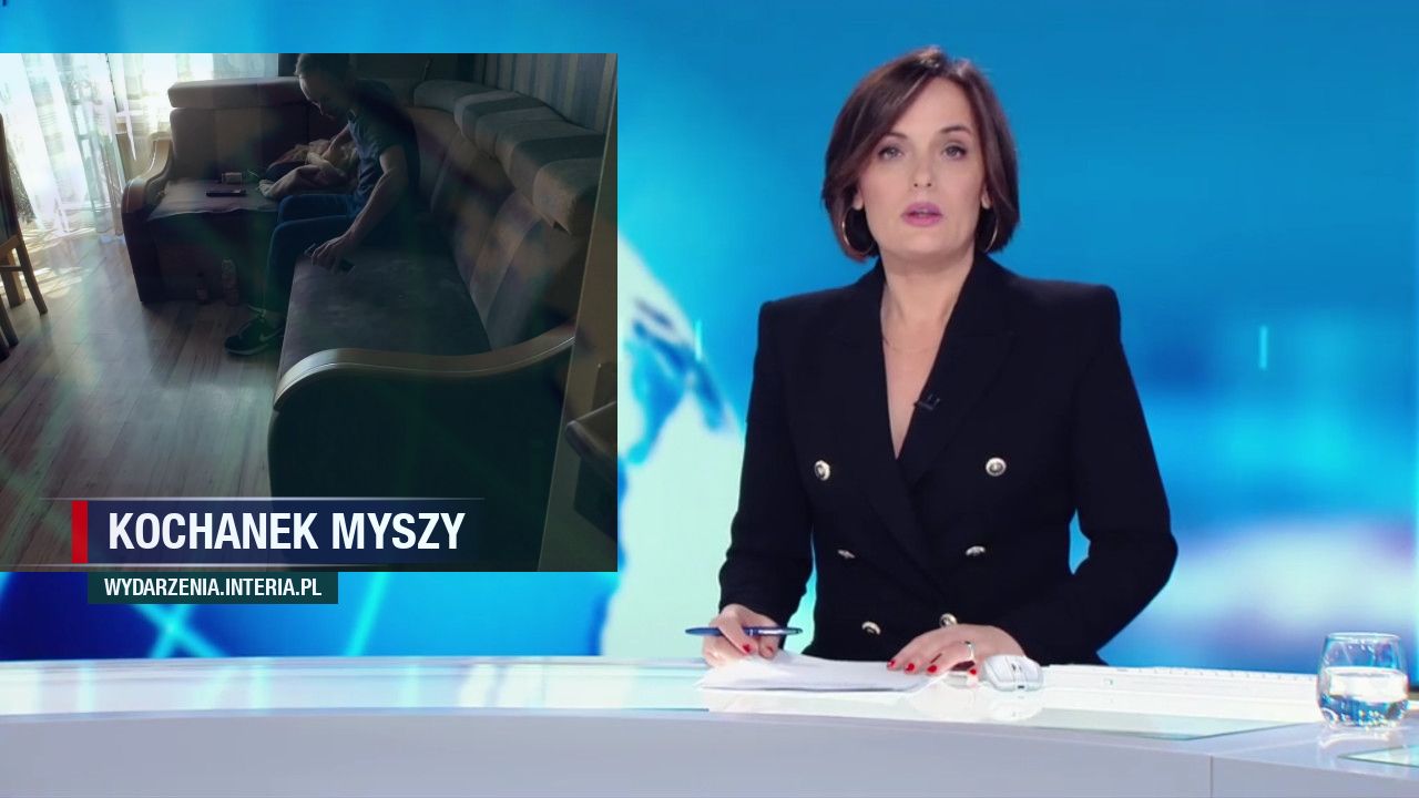 Kochanek myszy 