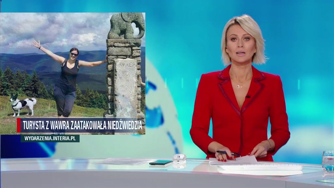 Turysta z wawra zaatakowała niedźwiedzia