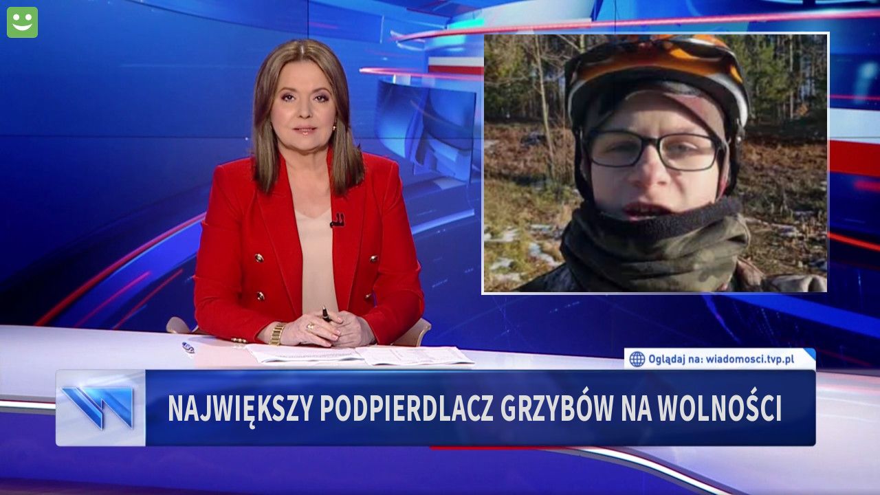 Największy podpierdlacz grzybów na wolności 