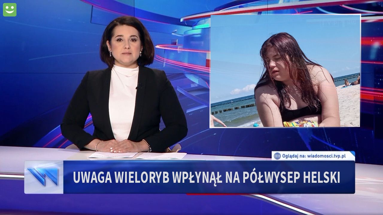 Uwaga wieloryb wpłynął na półwysep helski 