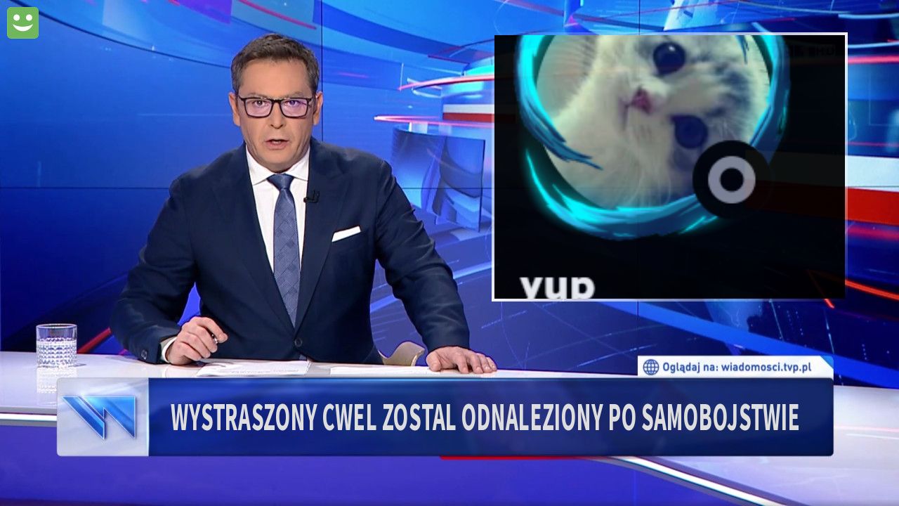 wystraszony cwel zostal odnaleziony po samobojstwie 