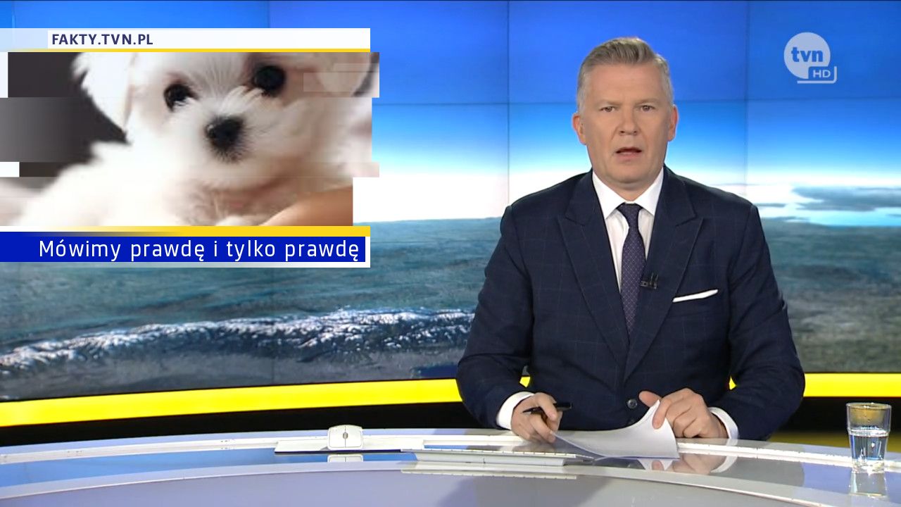 Mówimy prawdę i tylko prawdę