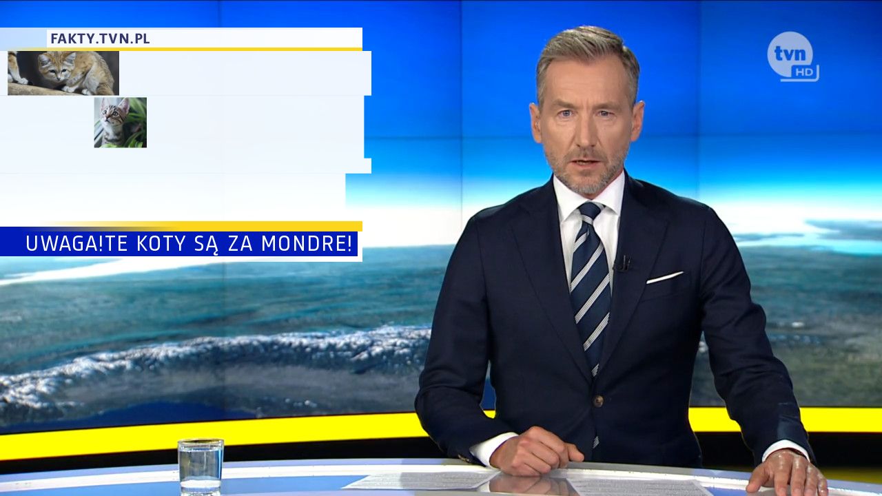 UWAGA!TE KOTY SĄ ZA MONDRE!