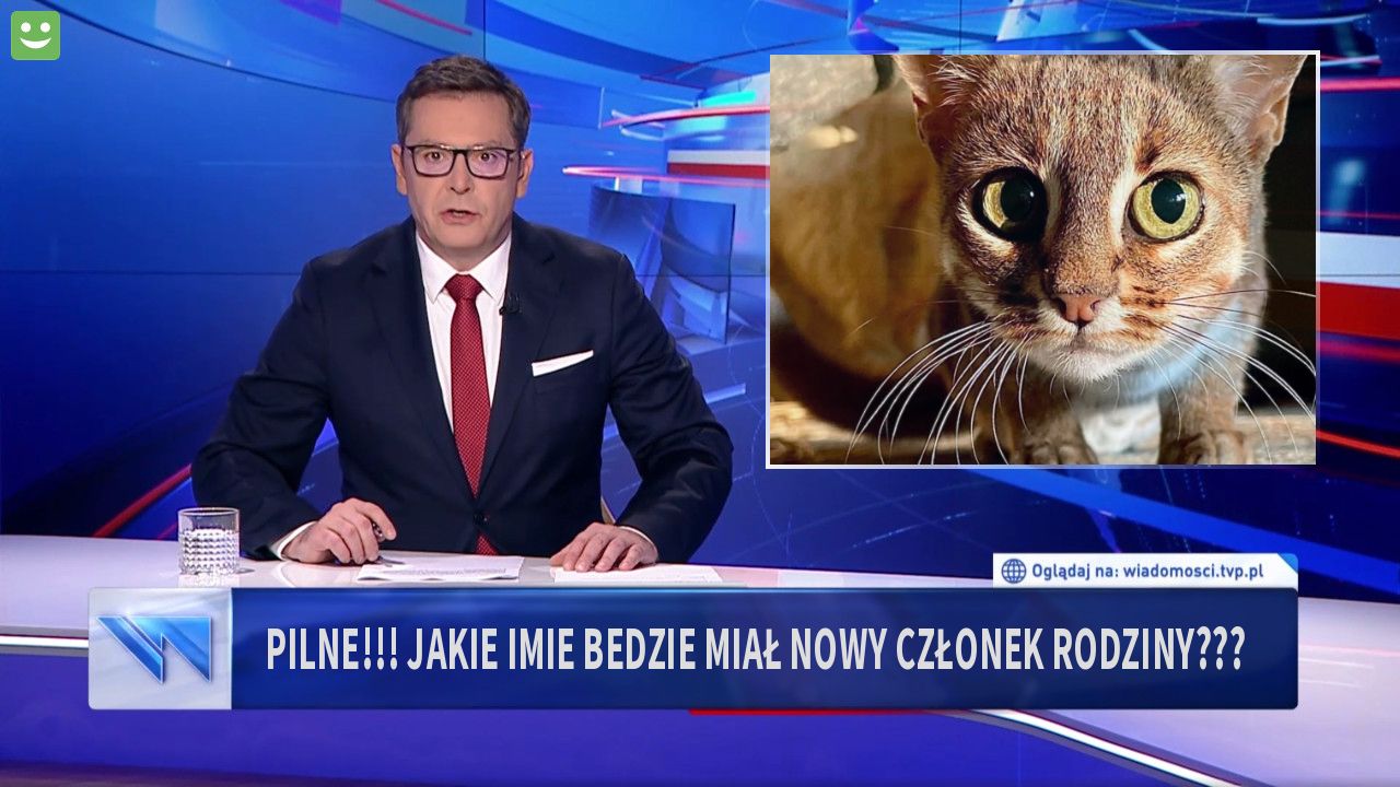 pilne!!! jakie imie bedzie miał nowy członek rodziny???