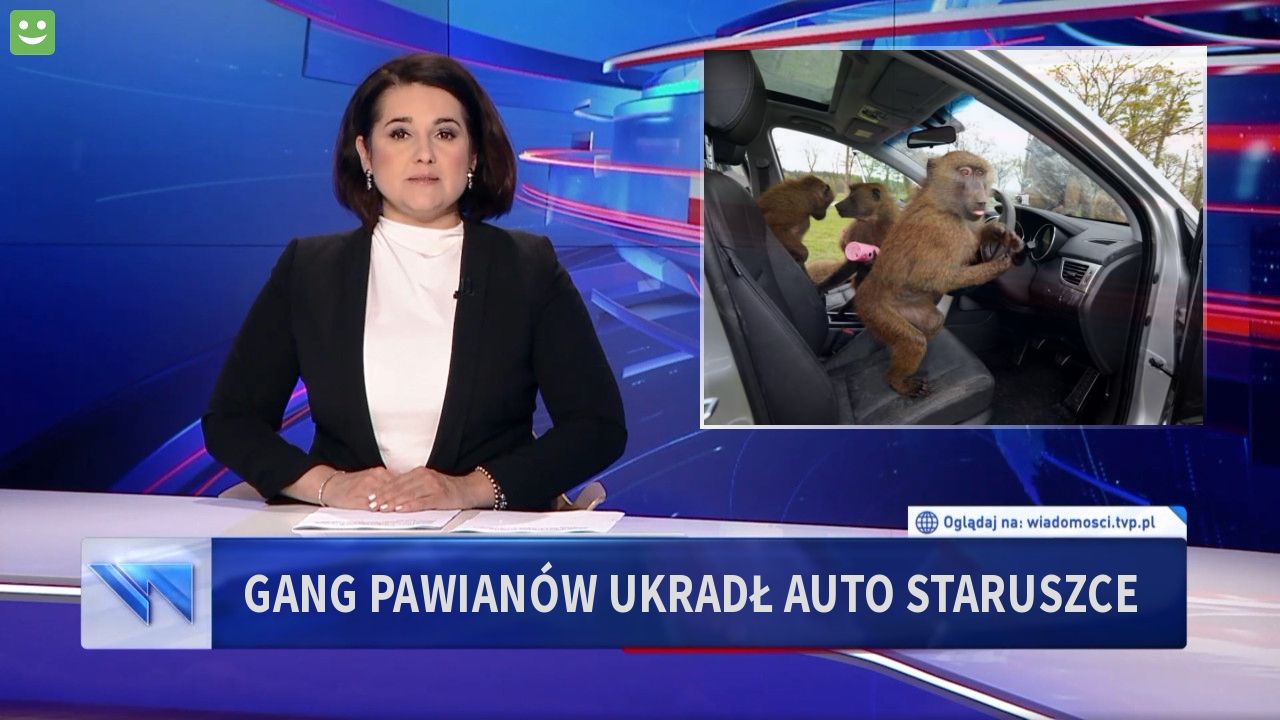 Gang pawianów ukradł auto staruszce