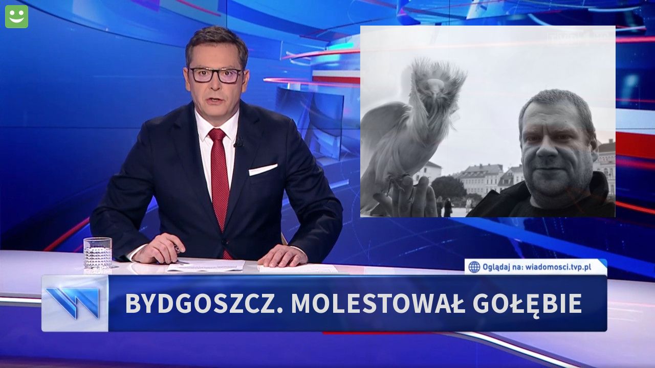 Bydgoszcz. Molestował gołębie