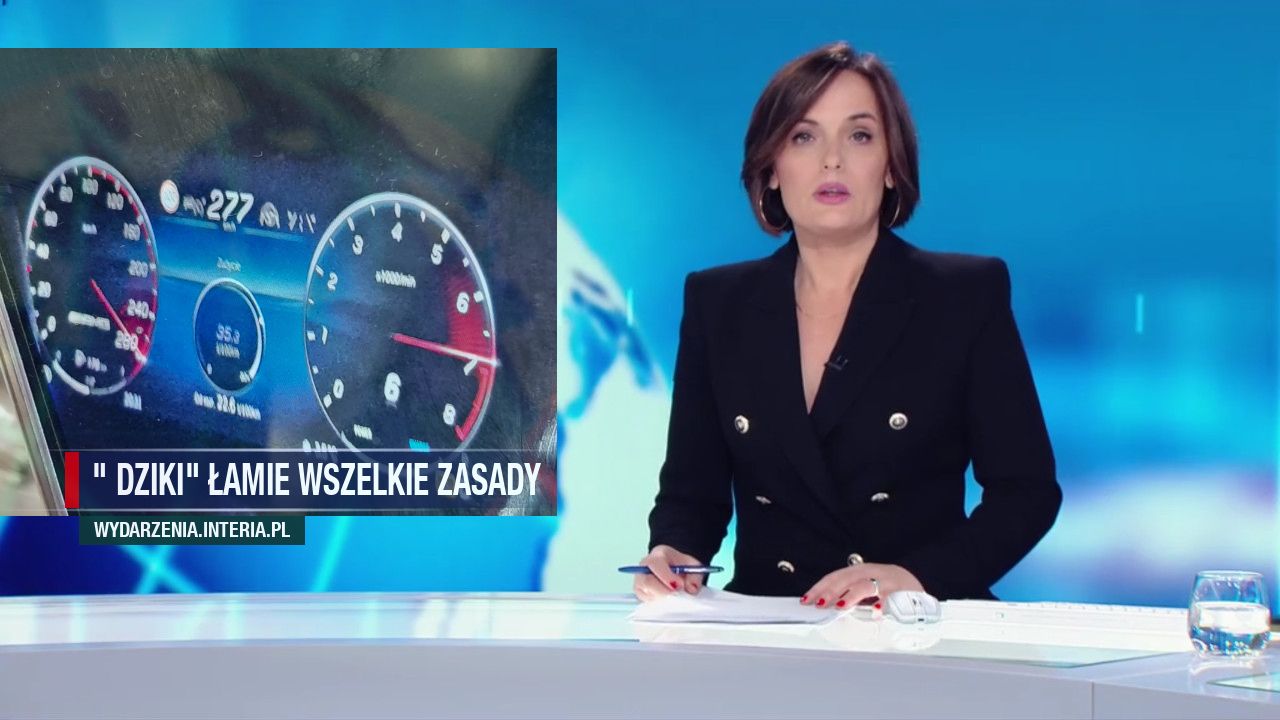 " Dziki" łamie wszelkie zasady