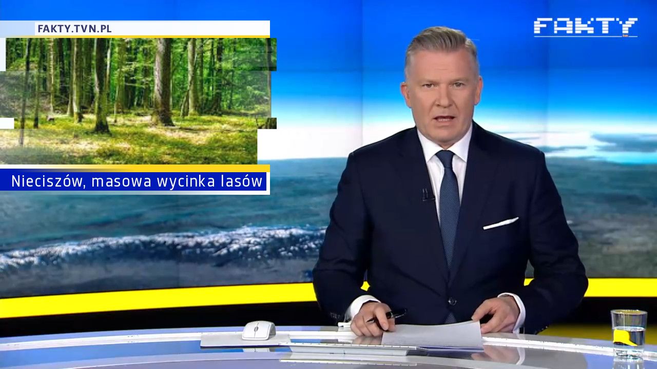 Nieciszów, masowa wycinka lasów