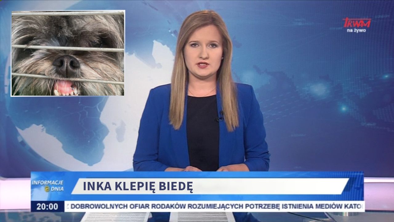 Inka klepię biedę 