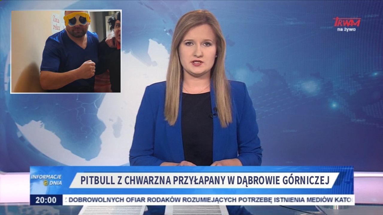 Pitbull z Chwarzna przyłapany w Dąbrowie Górniczej 