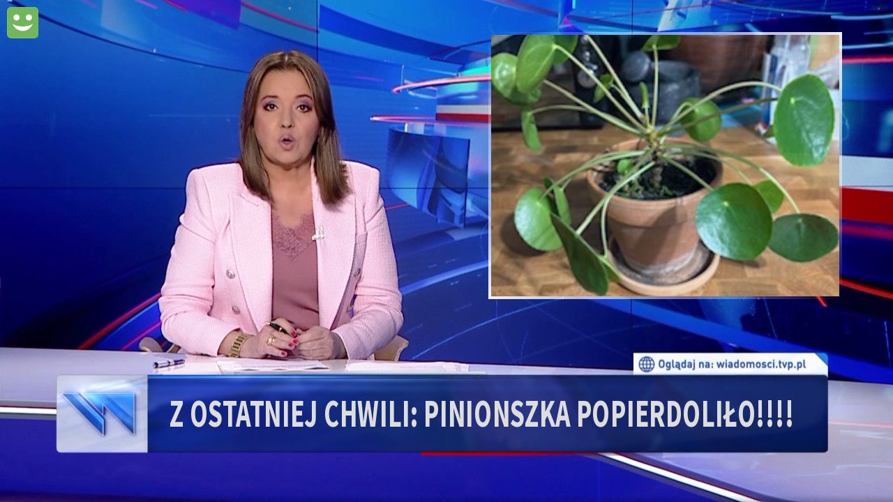 Z ostatniej chwili: pinionszka popierdoliło!!!!