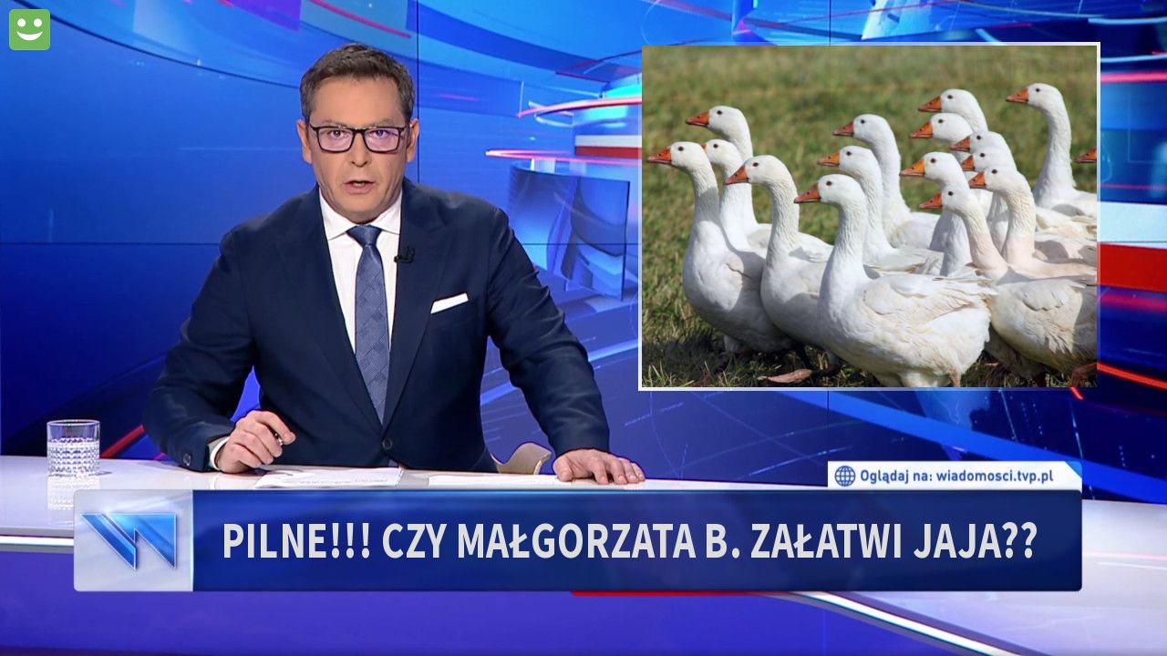 pilne!!! czy małgorzata b. załatwi jaja??