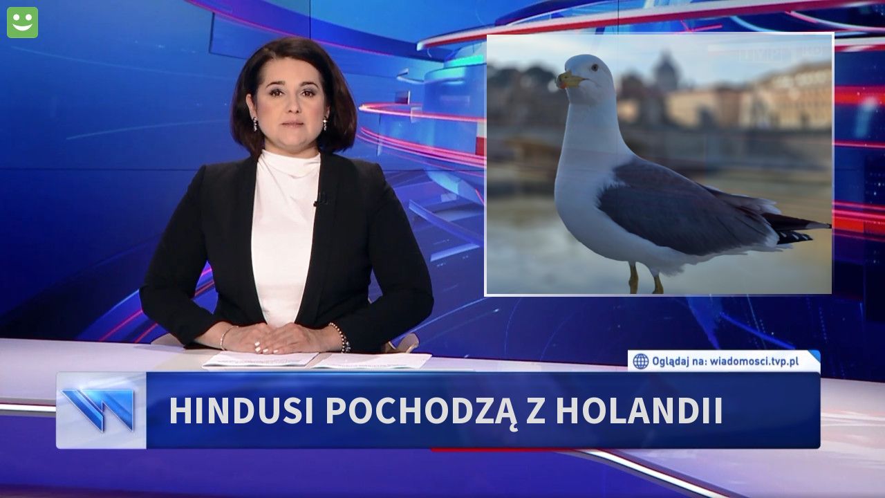 Hindusi pochodzą z Holandii