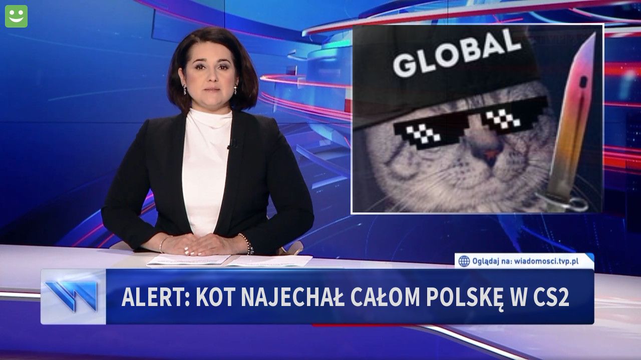 ALERT: KOT NAJEcHAŁ CAŁOM POLSKĘ W CS2